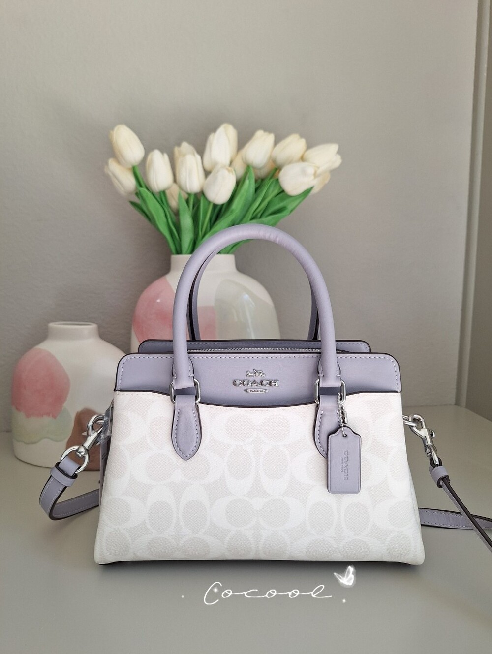 NWT！COACH MINI DARCIE CARRYALL IN SIGNATURE CANVAS（CH174）Chalk Mist Rare Color